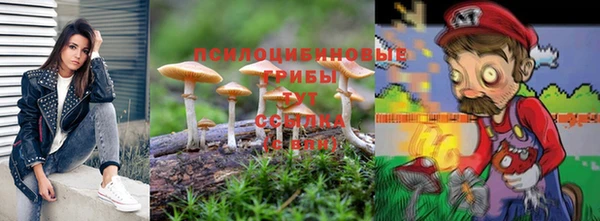 стафф Бронницы